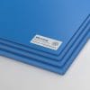 Polystone® P (Homopolymer) blue