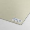 Polystone® P (Homopolymer) SK grey